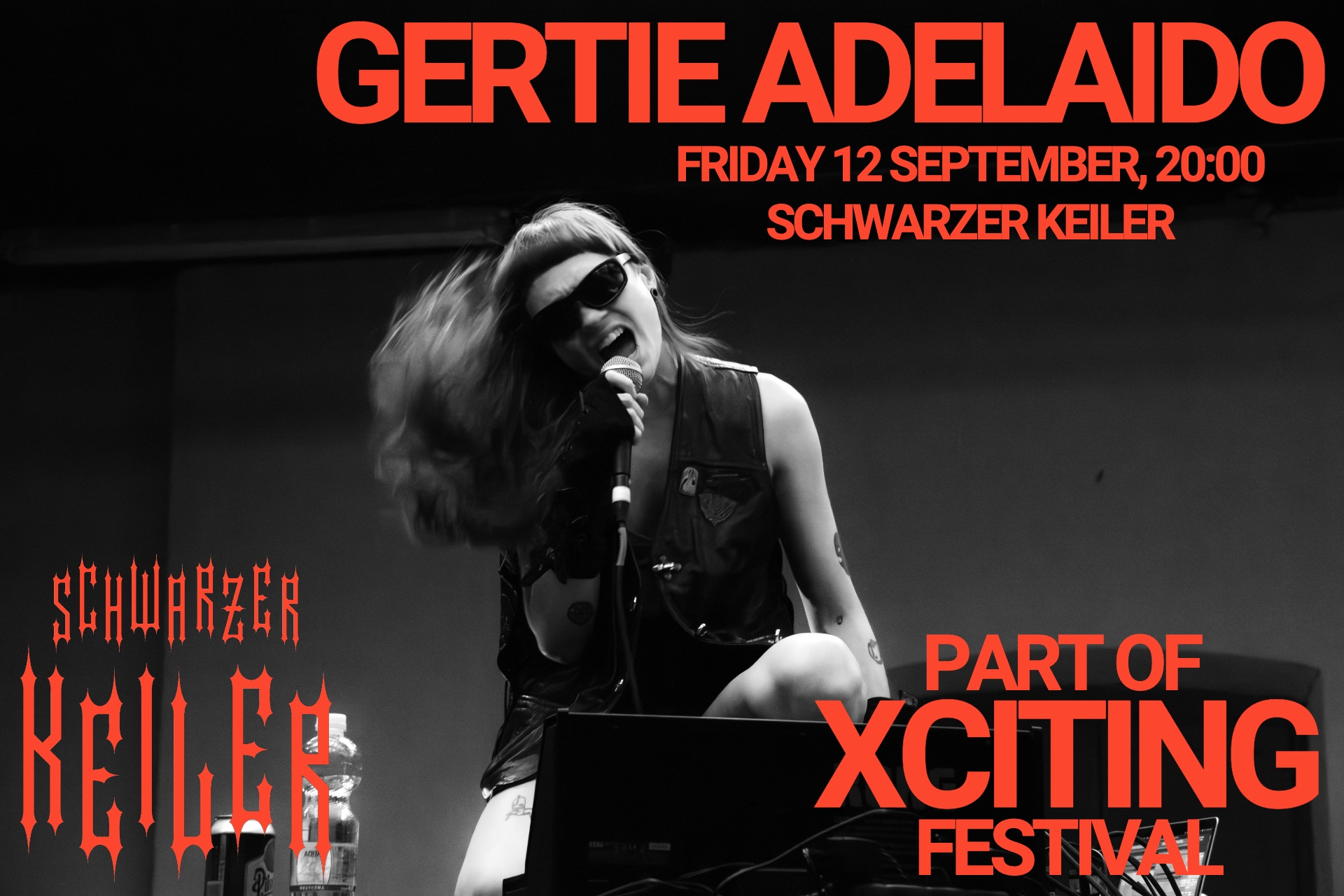 Xciting Festival Image (002)